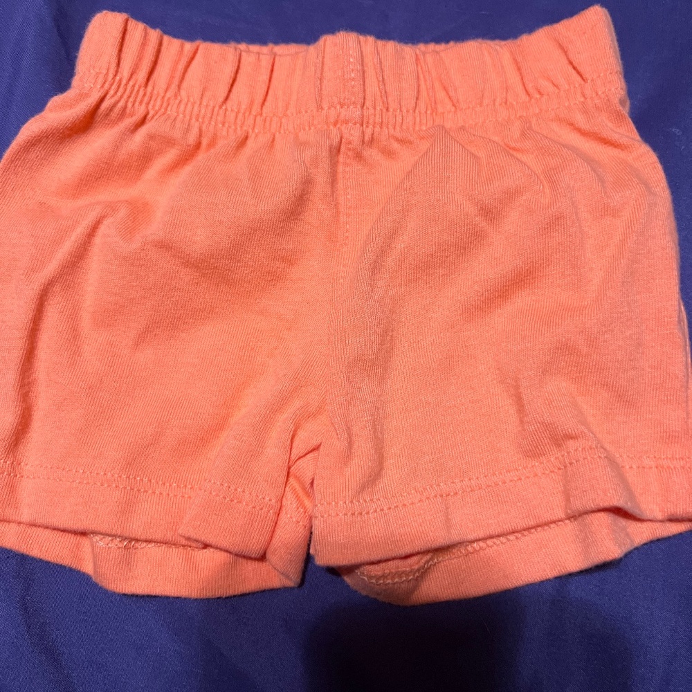 Garnimals 3-6 month shorts